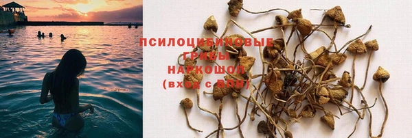 стаф Алексеевка