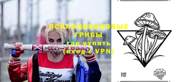 стаф Алексеевка