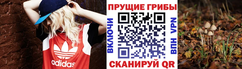 darknet официальный сайт  Задонск  Галлюциногенные грибы прущие грибы  закладка 