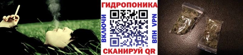 продажа наркотиков  Задонск  гидра зеркало  Бошки марихуана конопля 